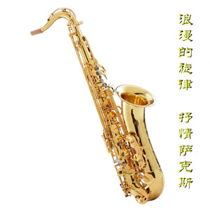 女星露点AV在线看
